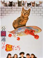 公园路的猫们