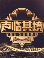 声临其境