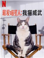 最爱喵星人：我猫威武