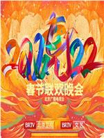 2022年北京卫视春节联欢晚会