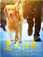 忠犬归来