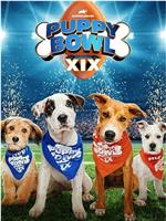 Puppy Bowl XIX