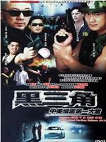 黑三角：中美第一缉毒大案