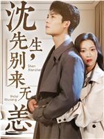 沈先生，别来无恙